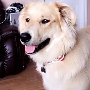 Meet your Posher, Eva